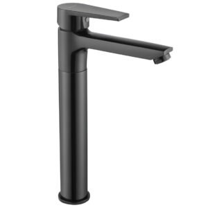 Praseo Tall Basin Mixer Shiny Black