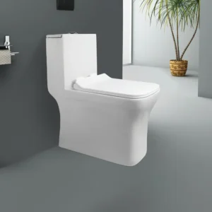 ACL SINGLE PIECE CLOSET